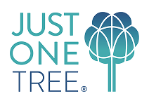 Just one tree